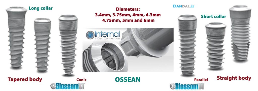 intra lock implant system